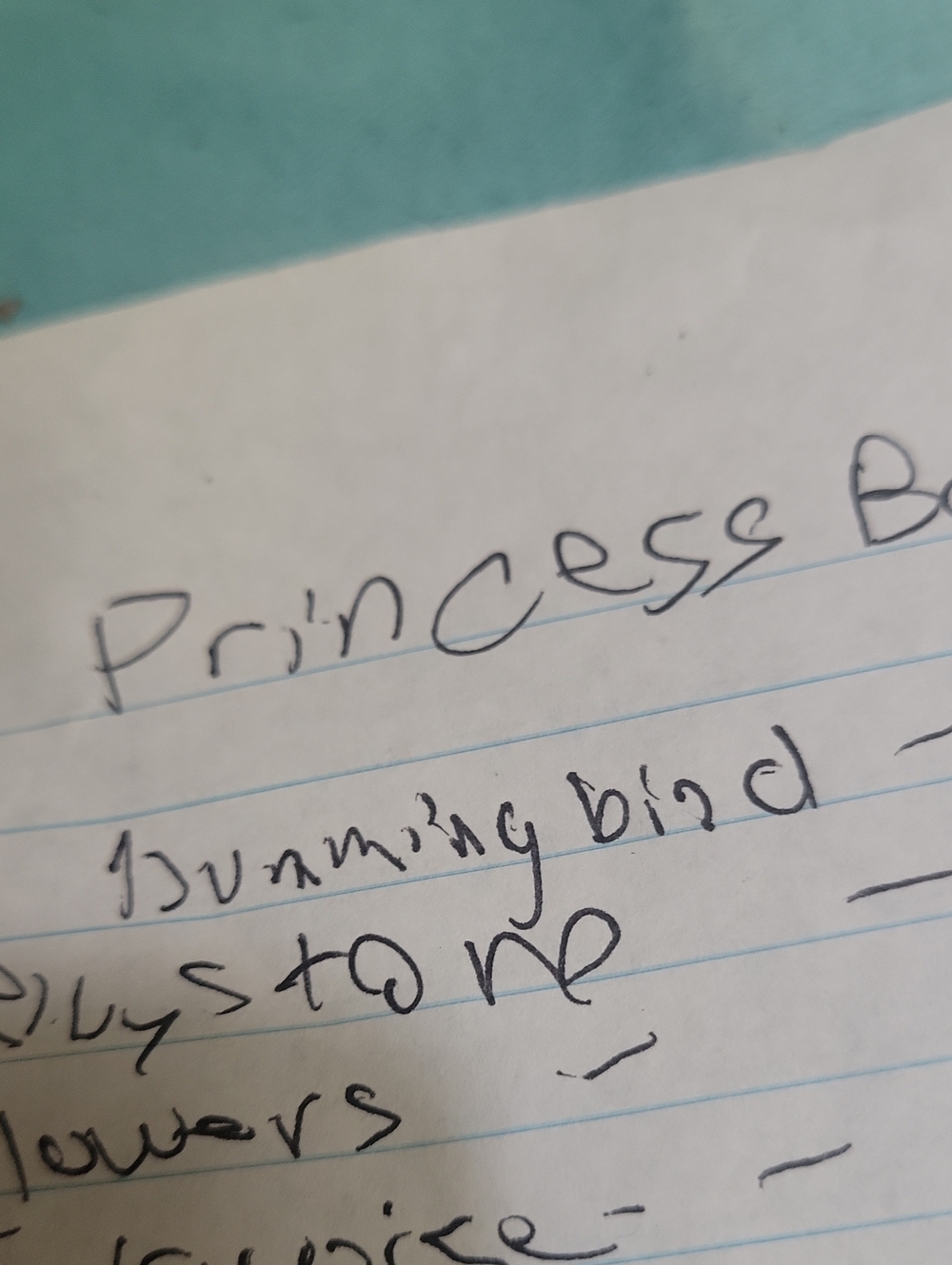 Princessbaby Hold